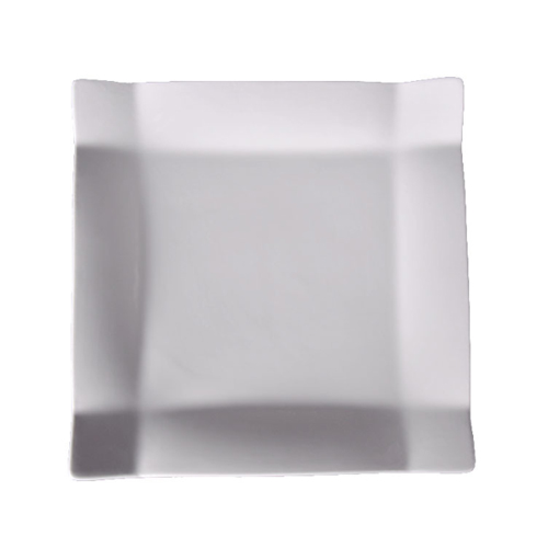white porcelain dinner plates