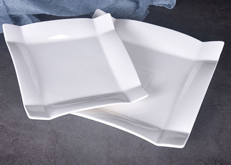 pure white porcelain dish plates